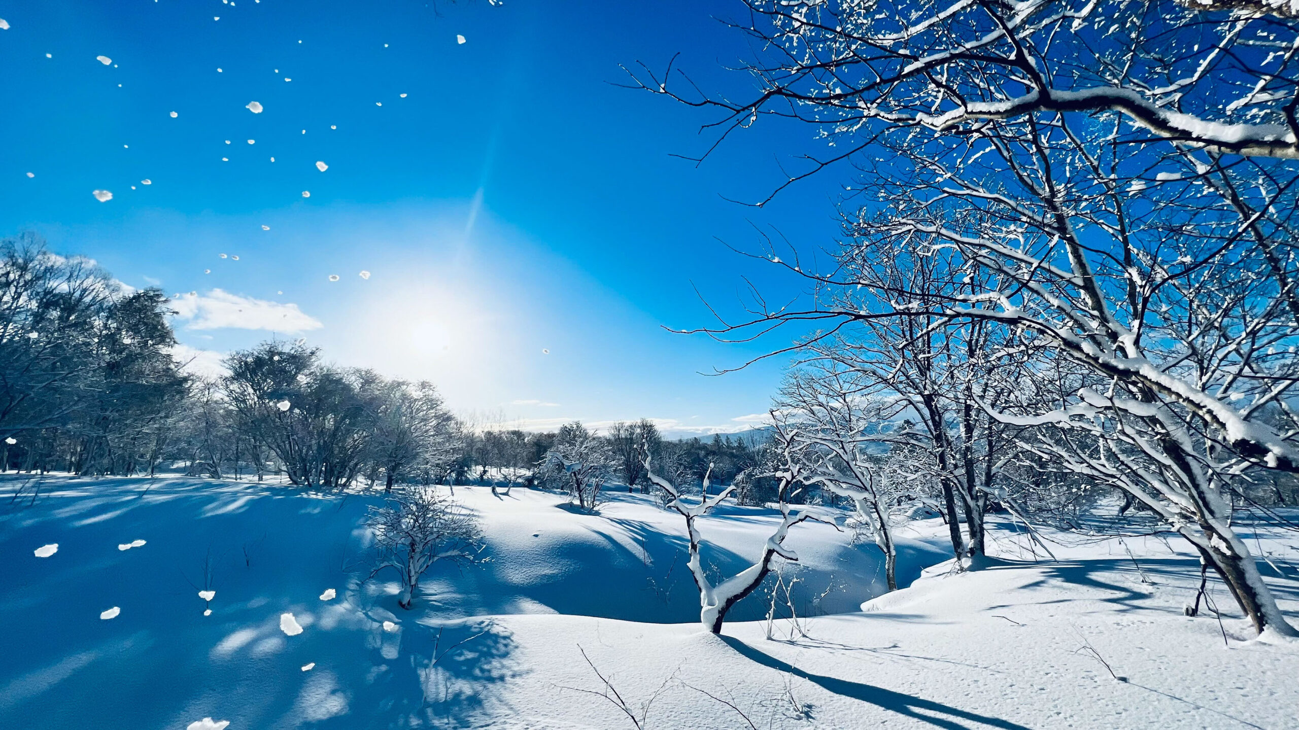 snow chalet tacito niseko japan